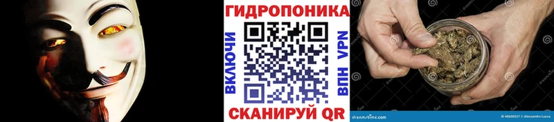 Бошки Шишки AK-47 наркота даркнет формула Кувшиново
